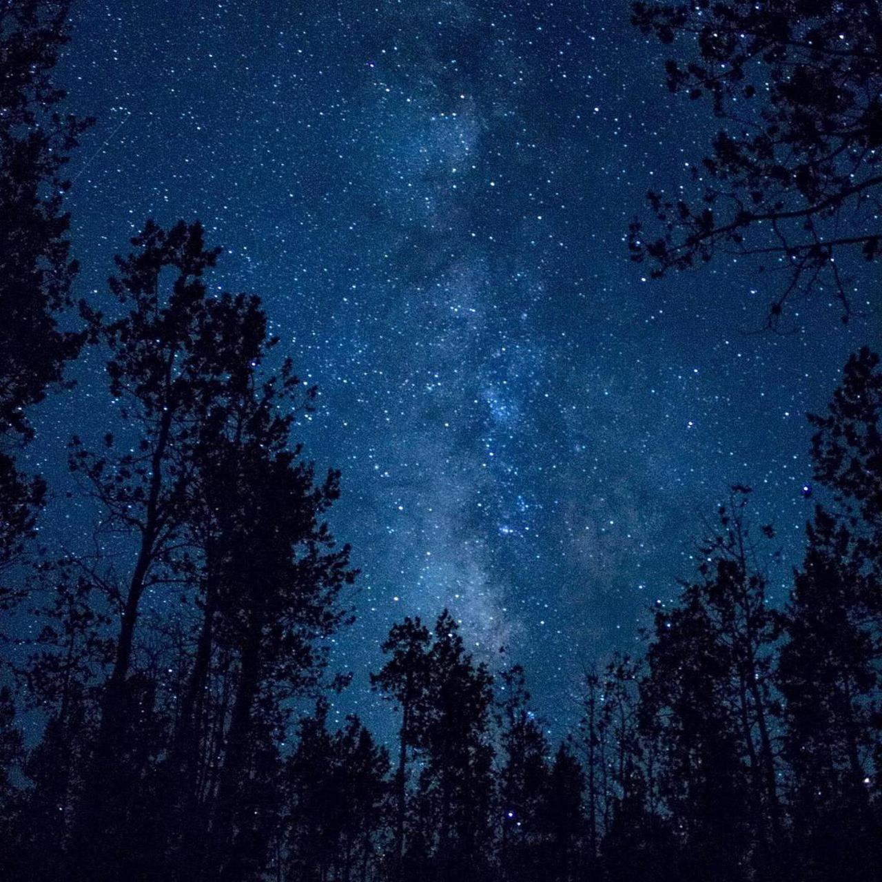 The Milky Way @ Pine Resort Fraser Hill Exteriér fotografie